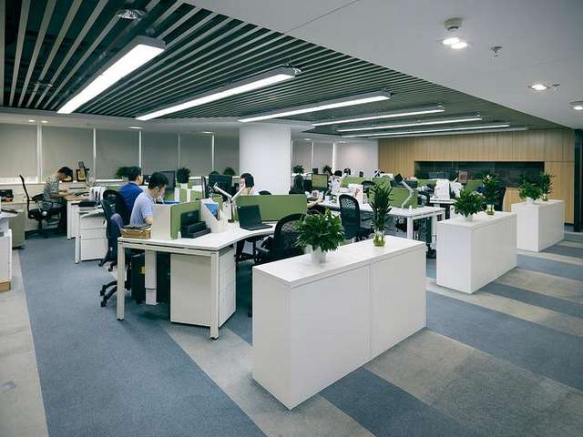 北京史东毕斯白蜂蜡SP422GNF