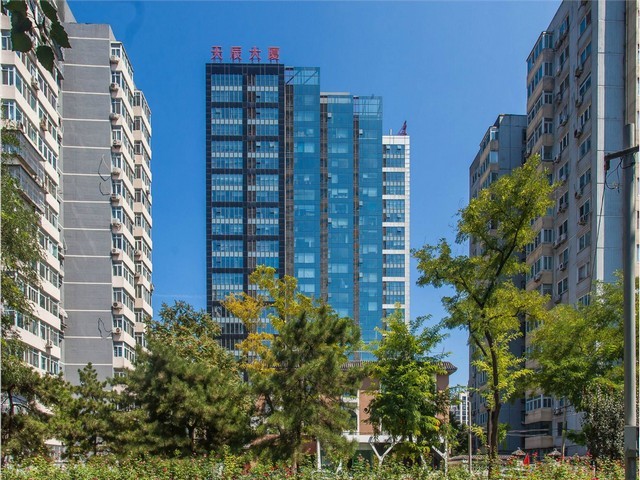 锡山区质量绿植租赁市场价